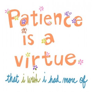 Patience-is-a-virtue